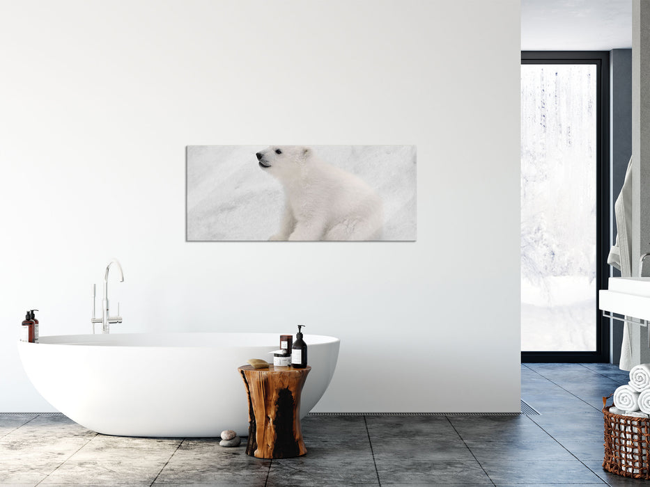 niedliches Eisbär Baby, Glasbild Panorama