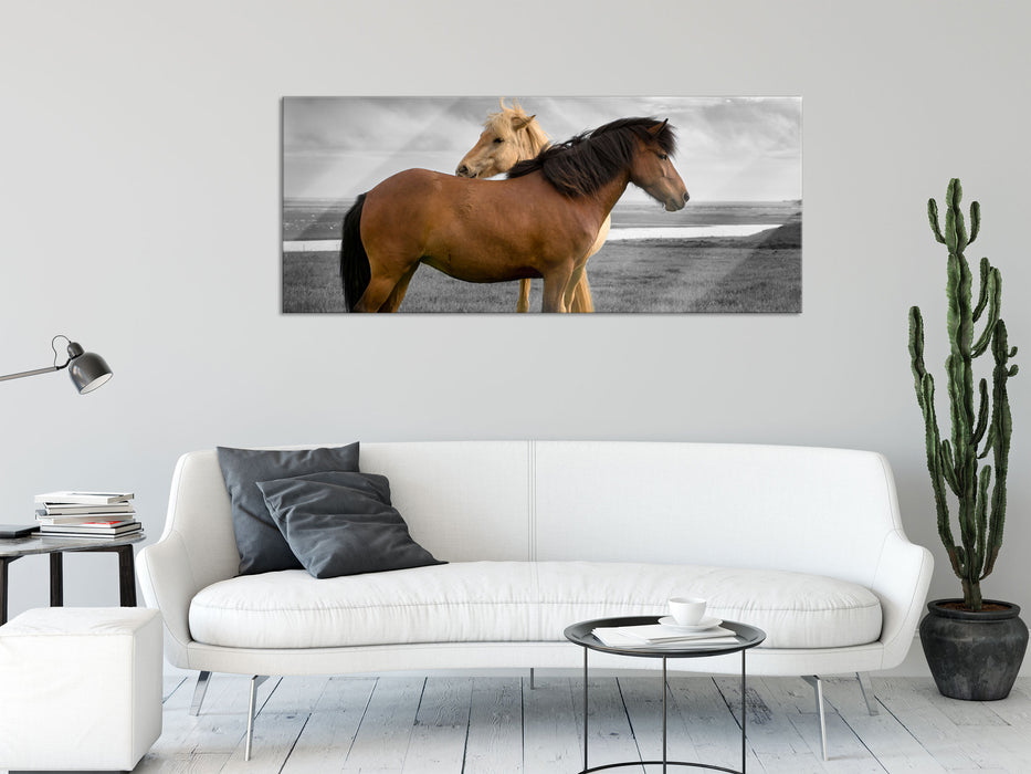 zwei Pferde auf der Wiese, Glasbild Panorama