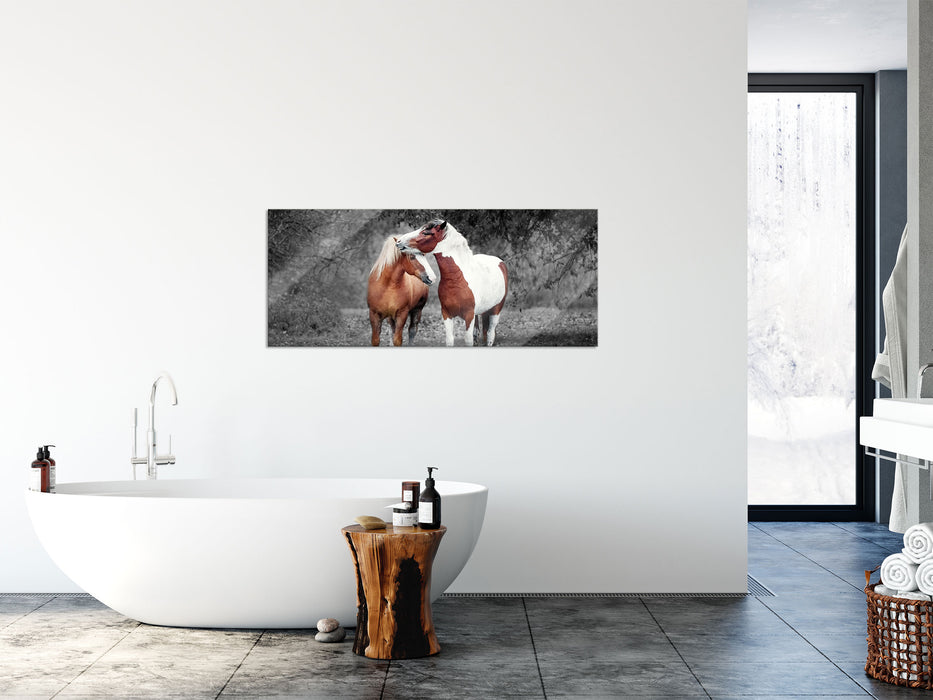 zwei schmusende Pferde, Glasbild Panorama