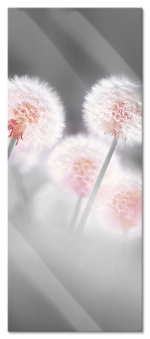 Pixxprint Pusteblumen im morgendlichen Wind, Glasbild Panorama