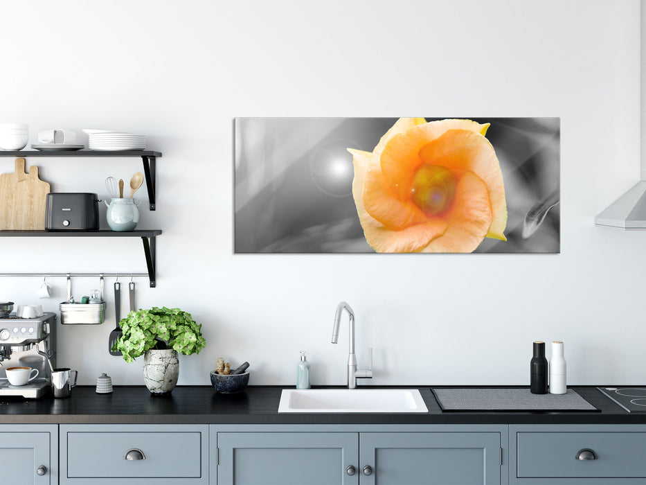 orange Blume im Sonnenlicht, Glasbild Panorama