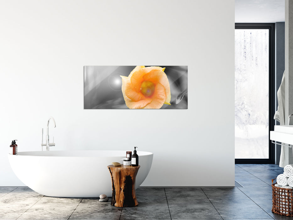 orange Blume im Sonnenlicht, Glasbild Panorama