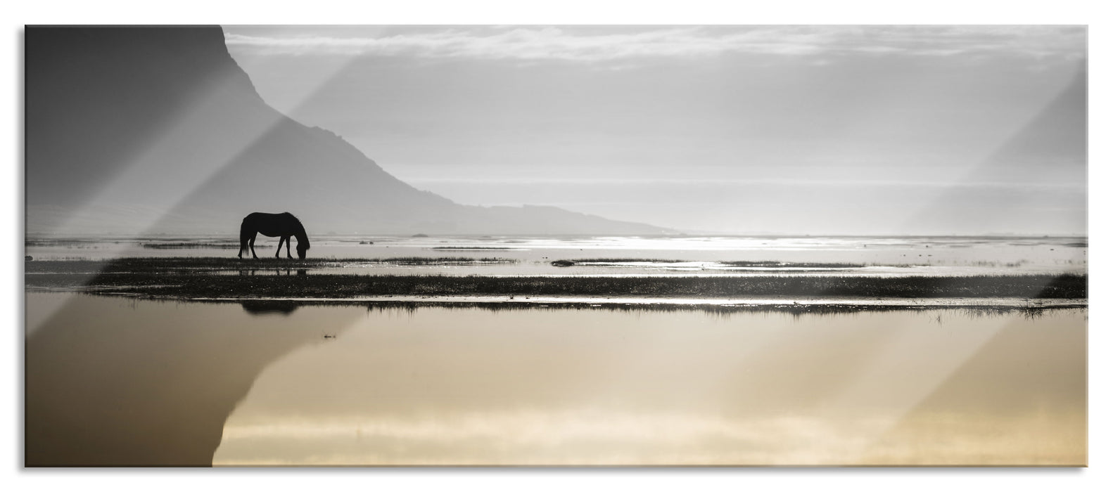 Pixxprint Pferd am Ufer einer Insel, Glasbild Panorama