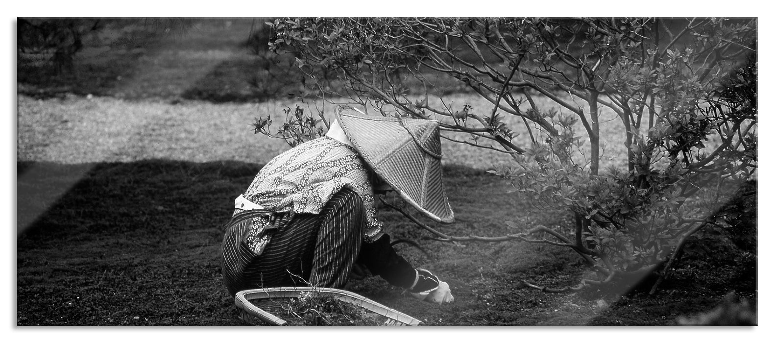 Pixxprint japanischer Gärtner bei der Arbeit, Glasbild Panorama