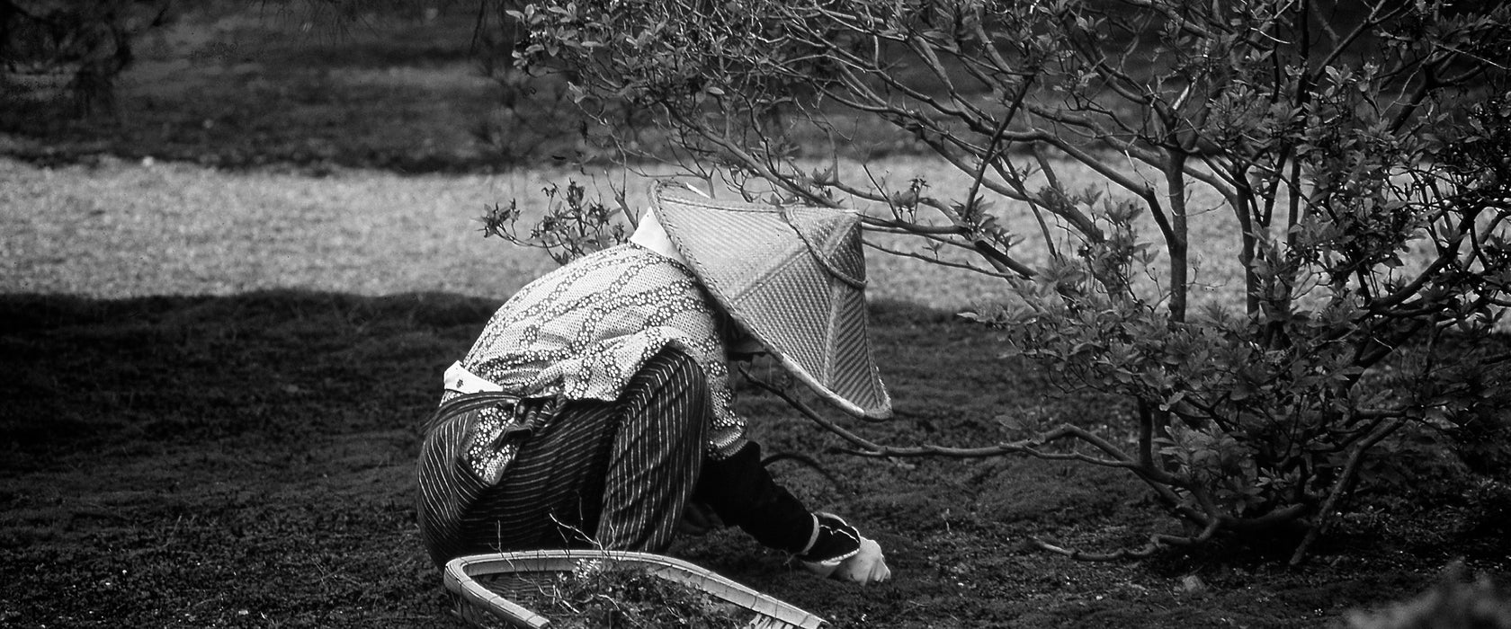 japanischer Gärtner bei der Arbeit, Glasbild Panorama