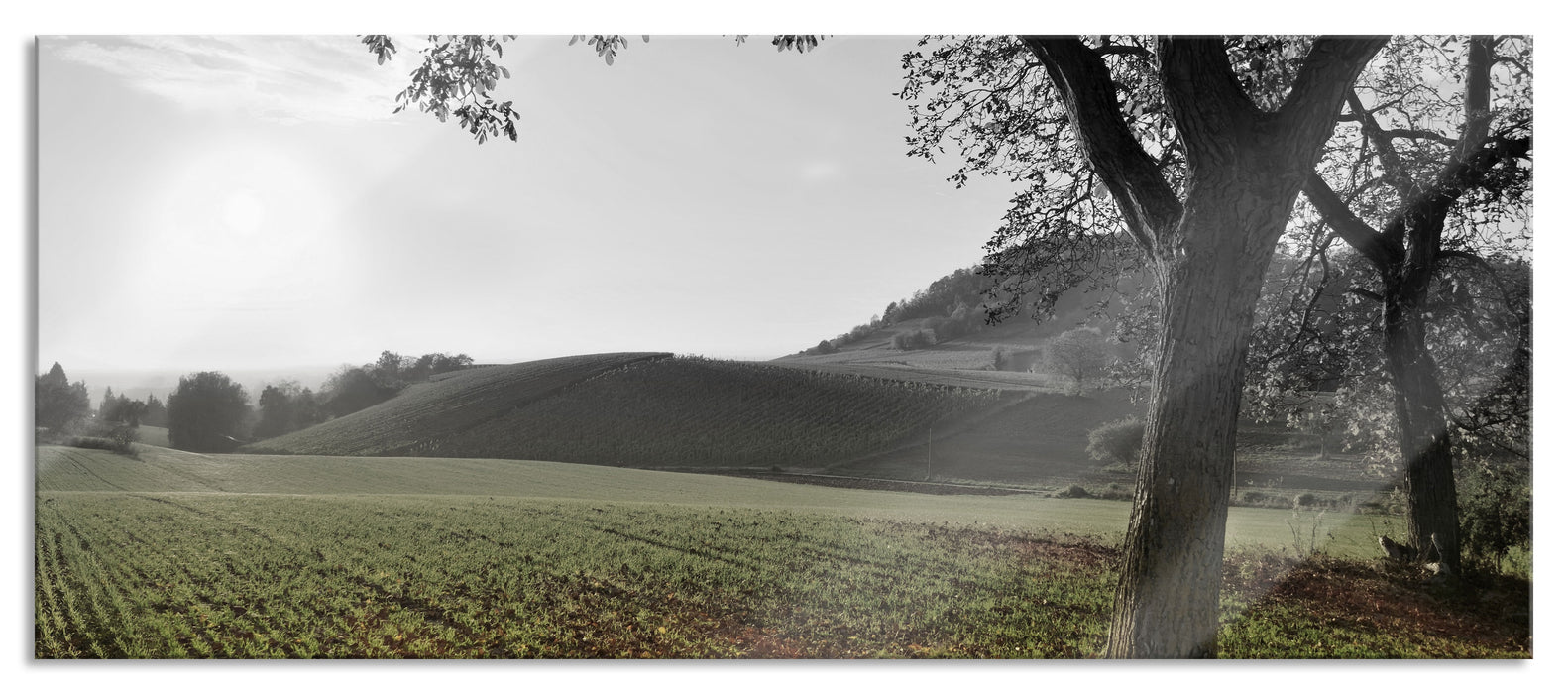 Pixxprint Landschaft im Herbst, Glasbild Panorama