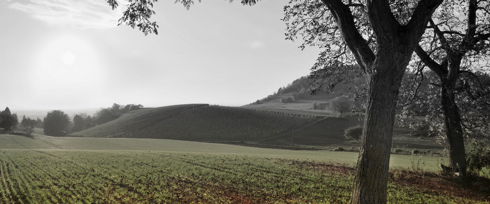 Landschaft im Herbst, Glasbild Panorama