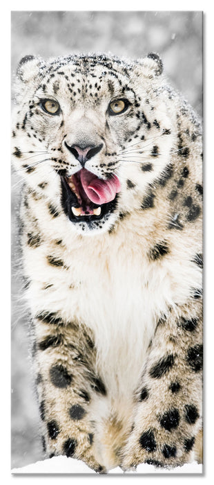 Pixxprint Leopard im Schnee, Glasbild Panorama