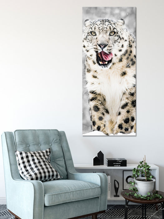 Leopard im Schnee, Glasbild Panorama