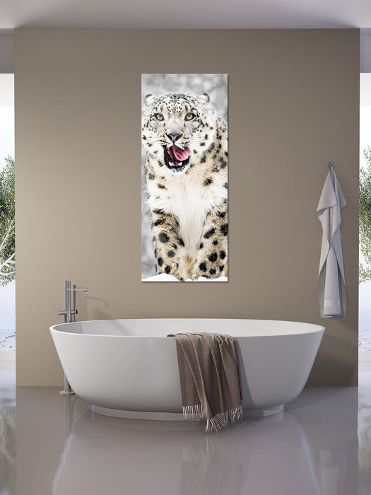 Leopard im Schnee, Glasbild Panorama