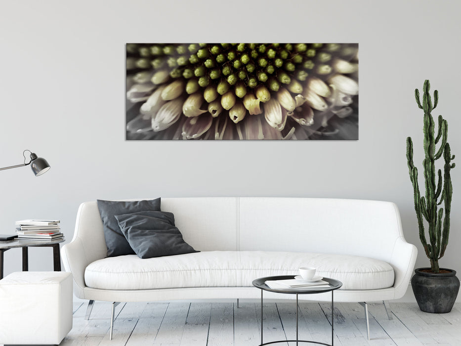 Nahaufnahme einer Gerbera, Glasbild Panorama