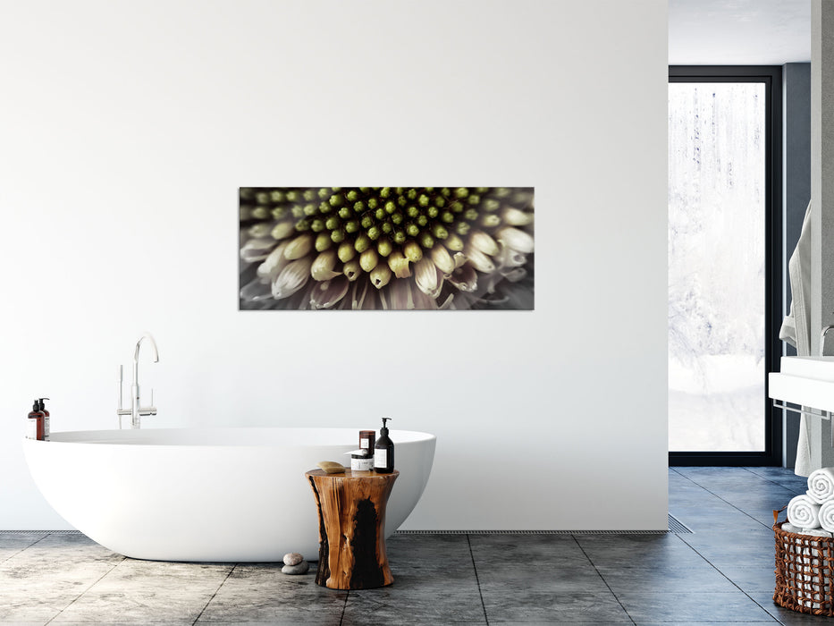 Nahaufnahme einer Gerbera, Glasbild Panorama