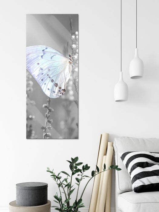 Schmetterling auf Blütenknospen, Glasbild Panorama