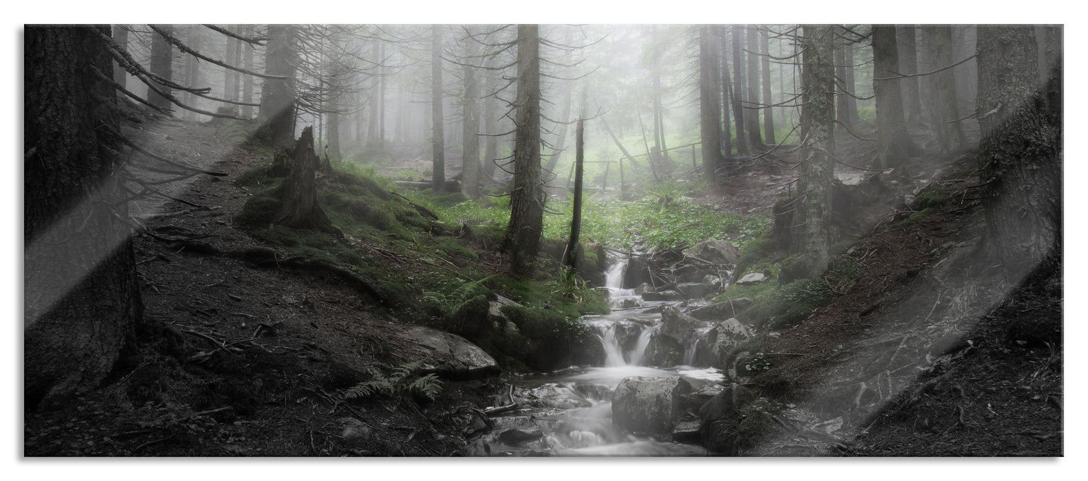 Pixxprint Bach im Wald, Glasbild Panorama