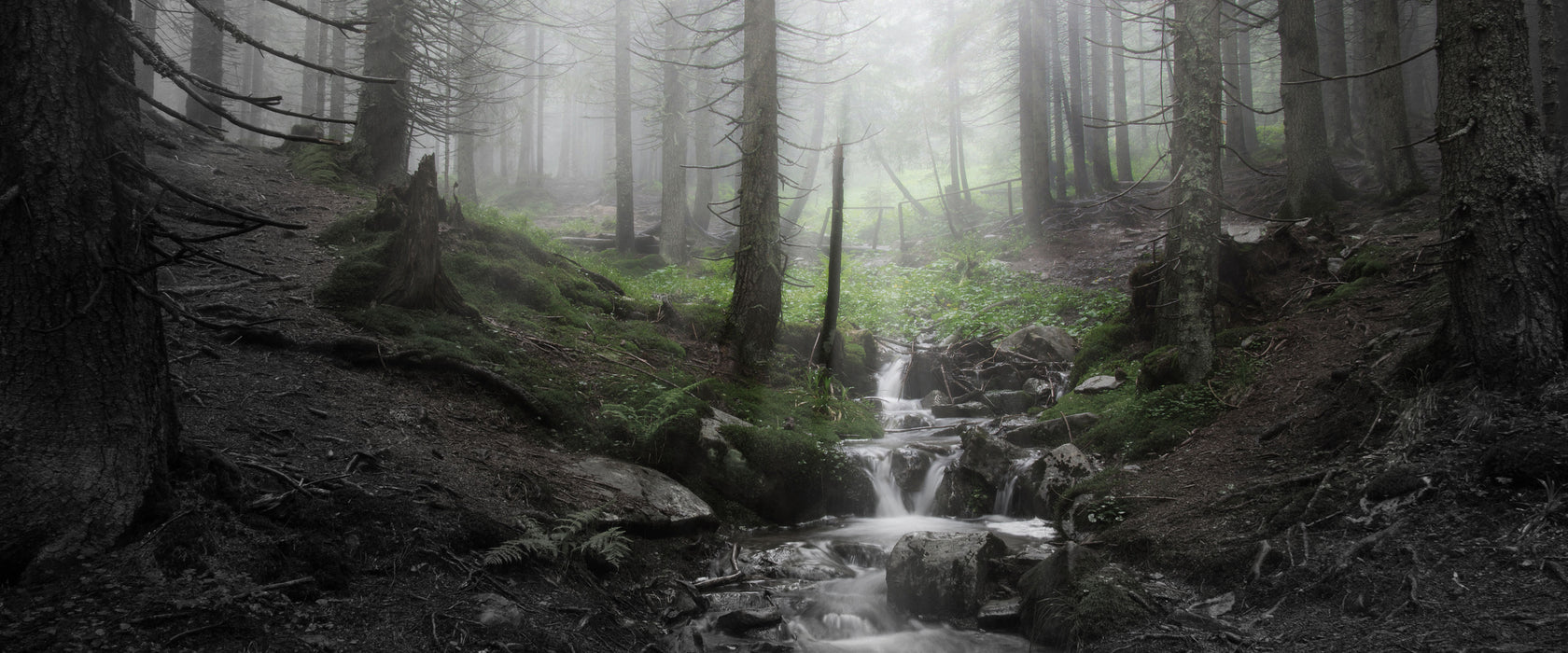 Bach im Wald, Glasbild Panorama