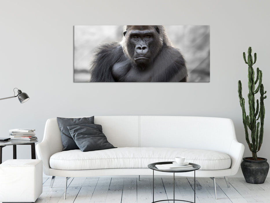 gelangweilter Gorilla, Glasbild Panorama