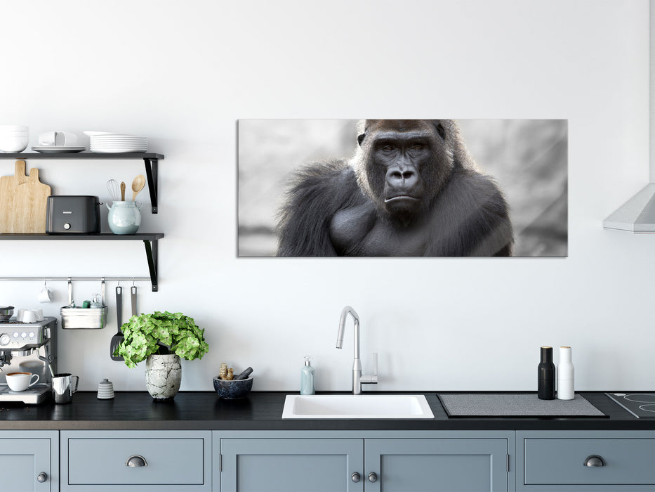 gelangweilter Gorilla, Glasbild Panorama