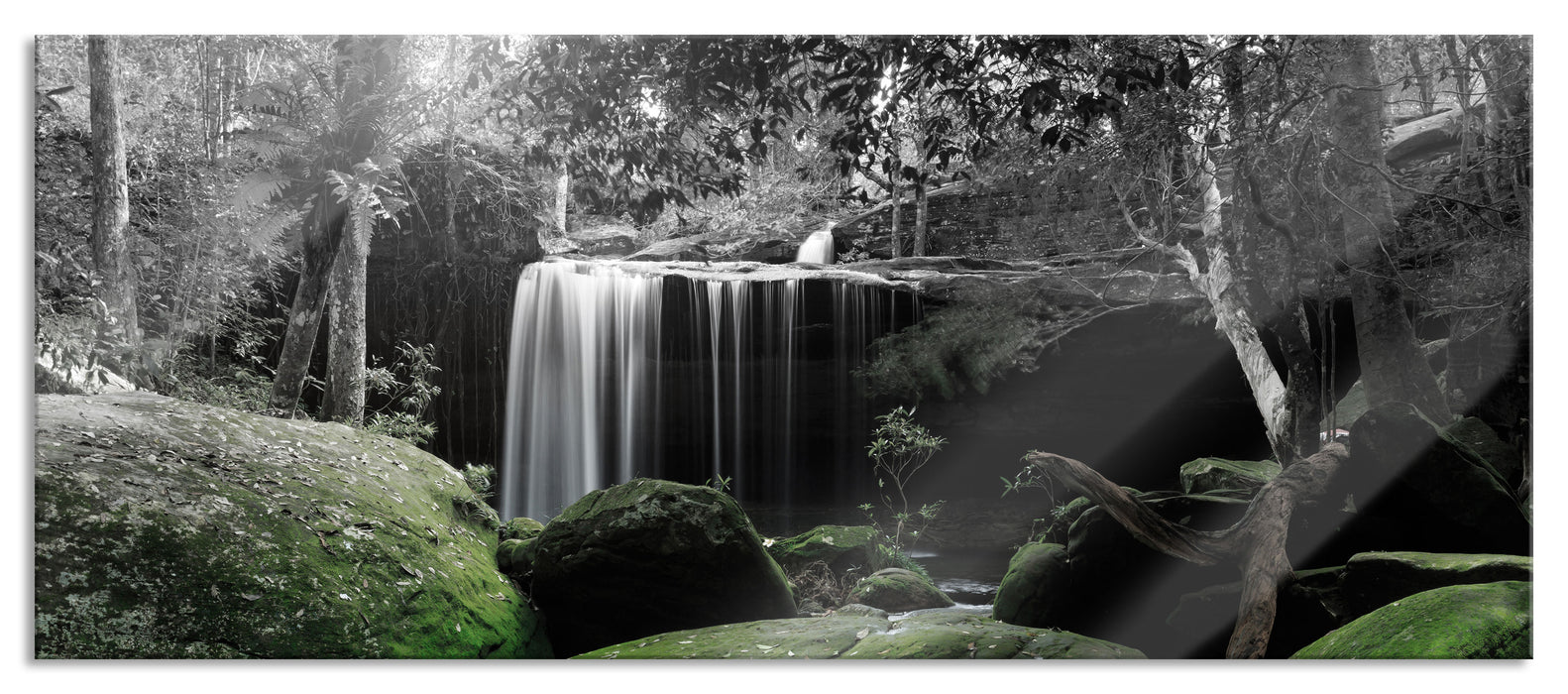 Pixxprint Regenwald in Thailand, Glasbild Panorama