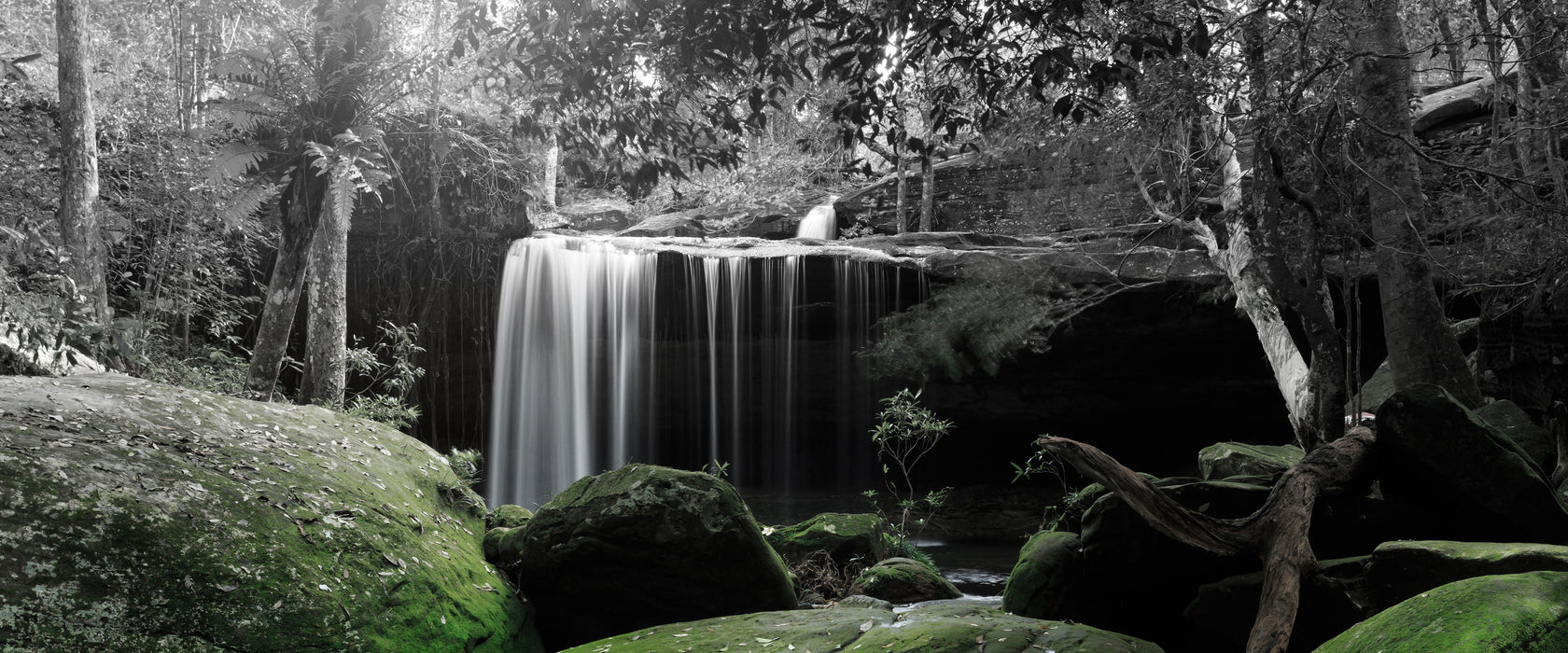 Regenwald in Thailand, Glasbild Panorama