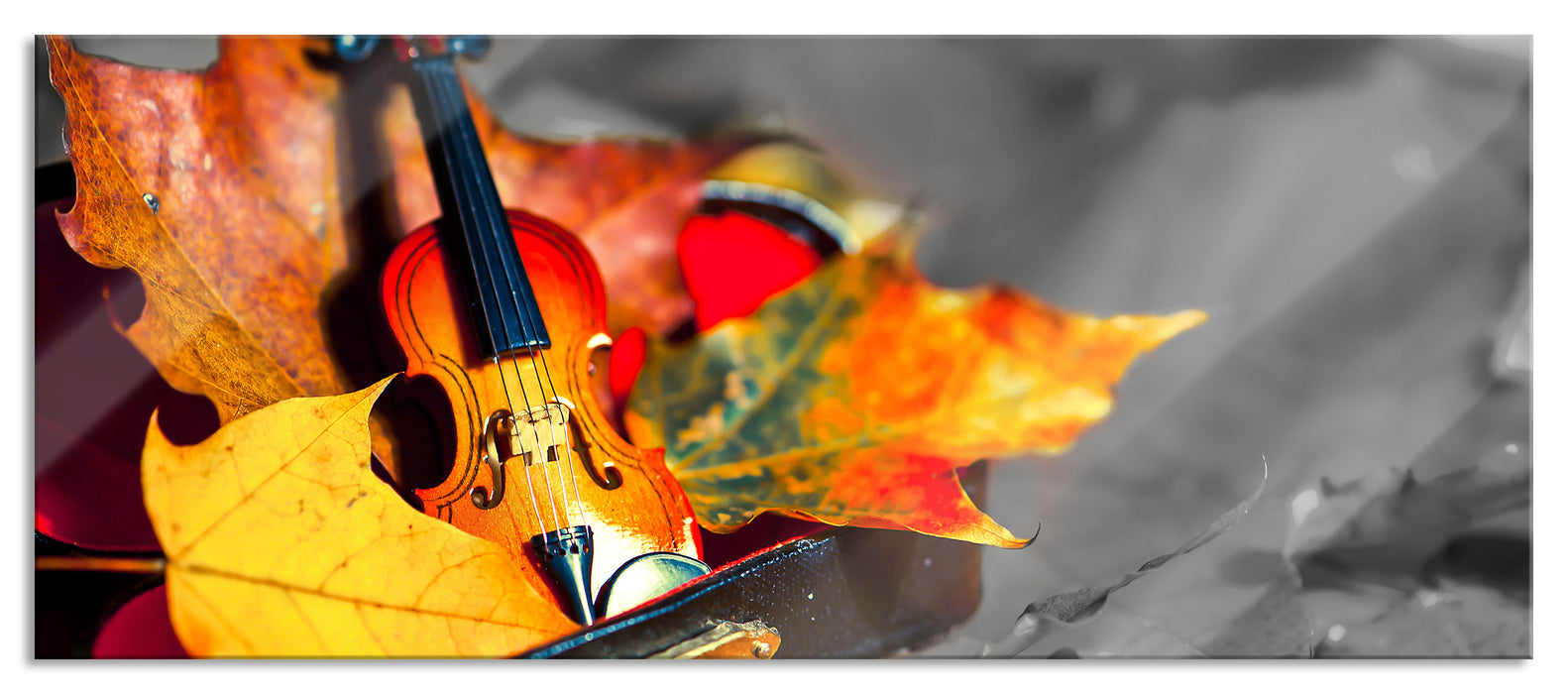 Pixxprint Violine umgeben von Blättern, Glasbild Panorama