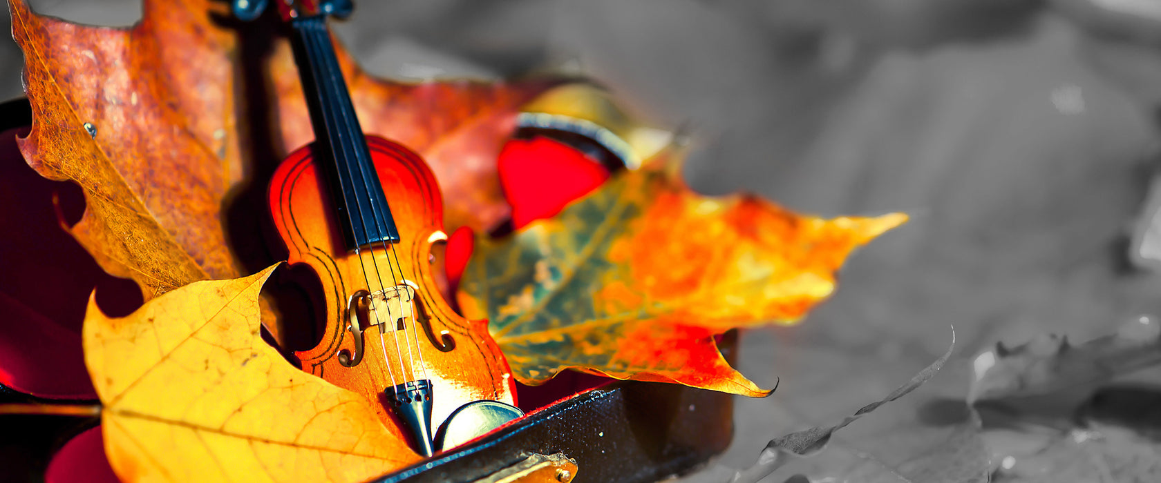 Violine umgeben von Blättern, Glasbild Panorama