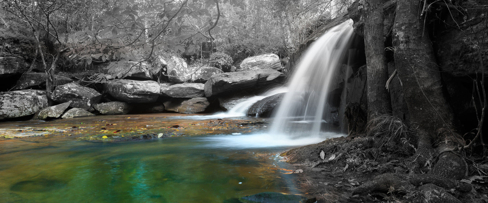 Wasserfall im Wald, Glasbild Panorama