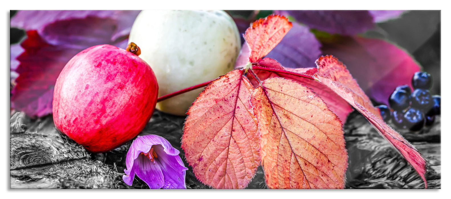 Pixxprint Äpfel und Blätter im Herbst, Glasbild Panorama