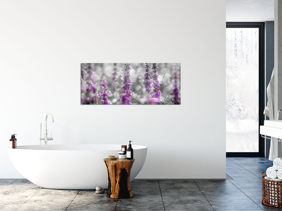 schöne violette Lavendelblüten, Glasbild Panorama