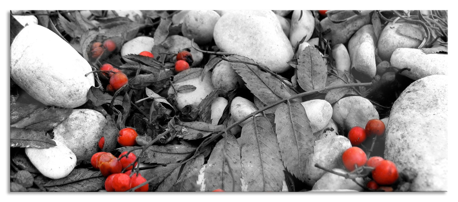 Pixxprint Herbst und Beeren, Glasbild Panorama