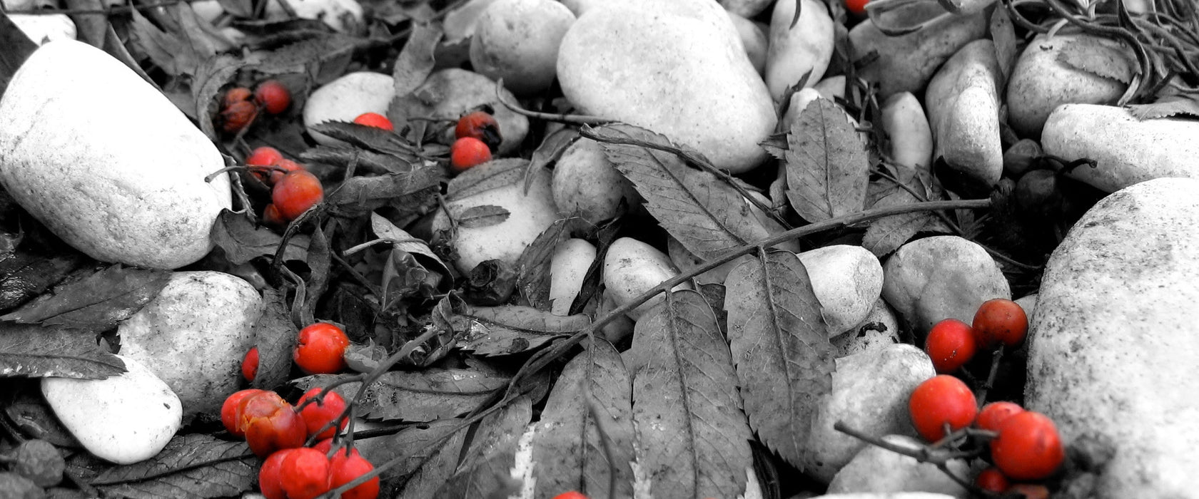 Herbst und Beeren, Glasbild Panorama