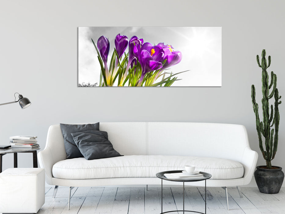 Kunst Frühling florwer Hintergrund, Glasbild Panorama