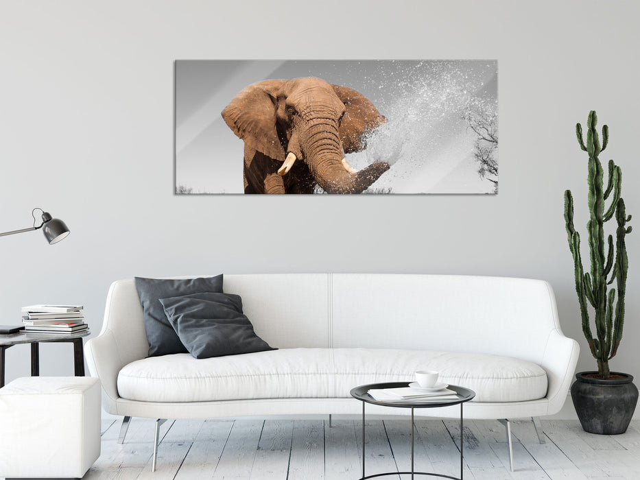 schöner Elefant spritzt mit Wasser, Glasbild Panorama