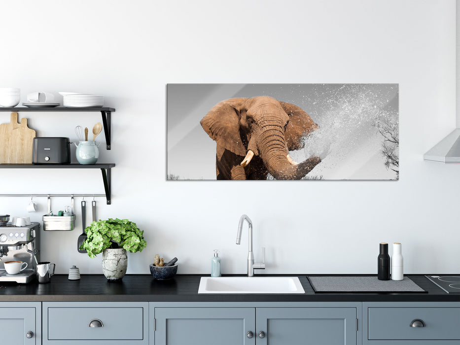 schöner Elefant spritzt mit Wasser, Glasbild Panorama