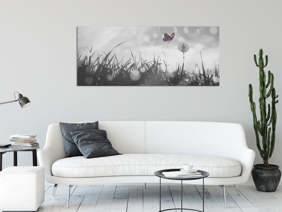 Schmetterling fliegt zu Pusteblume, Glasbild Panorama