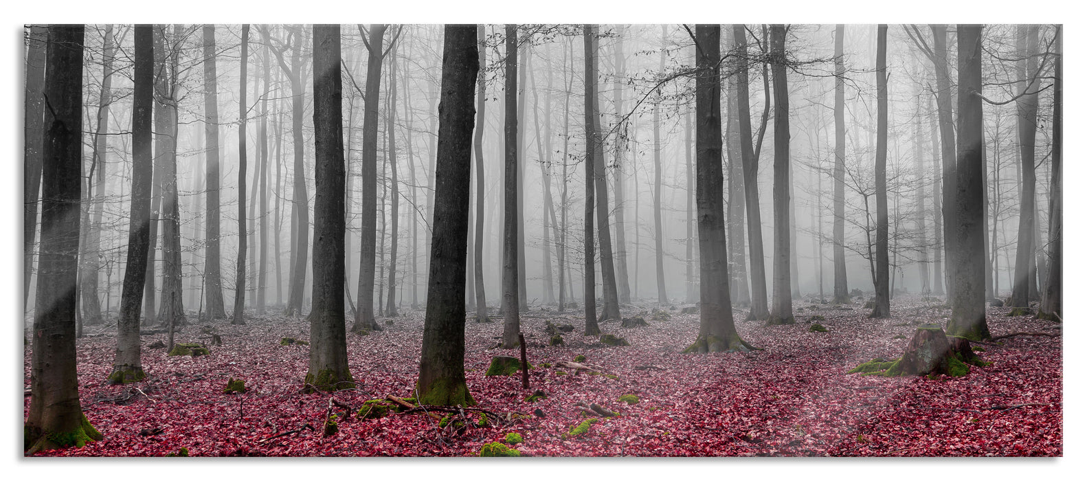 Pixxprint abstrakter Wald, Glasbild Panorama