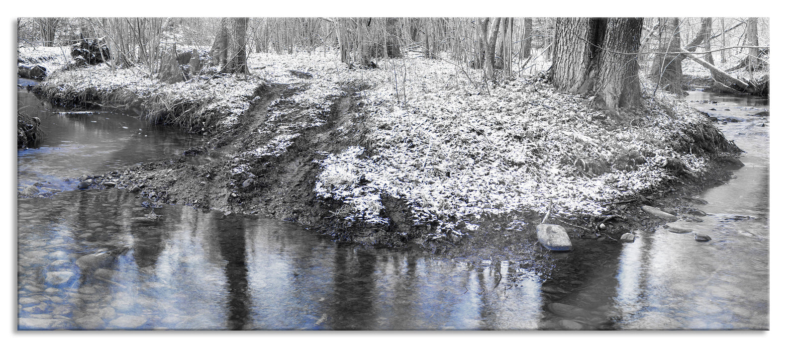 Pixxprint schneebedeckter Waldboden, Glasbild Panorama