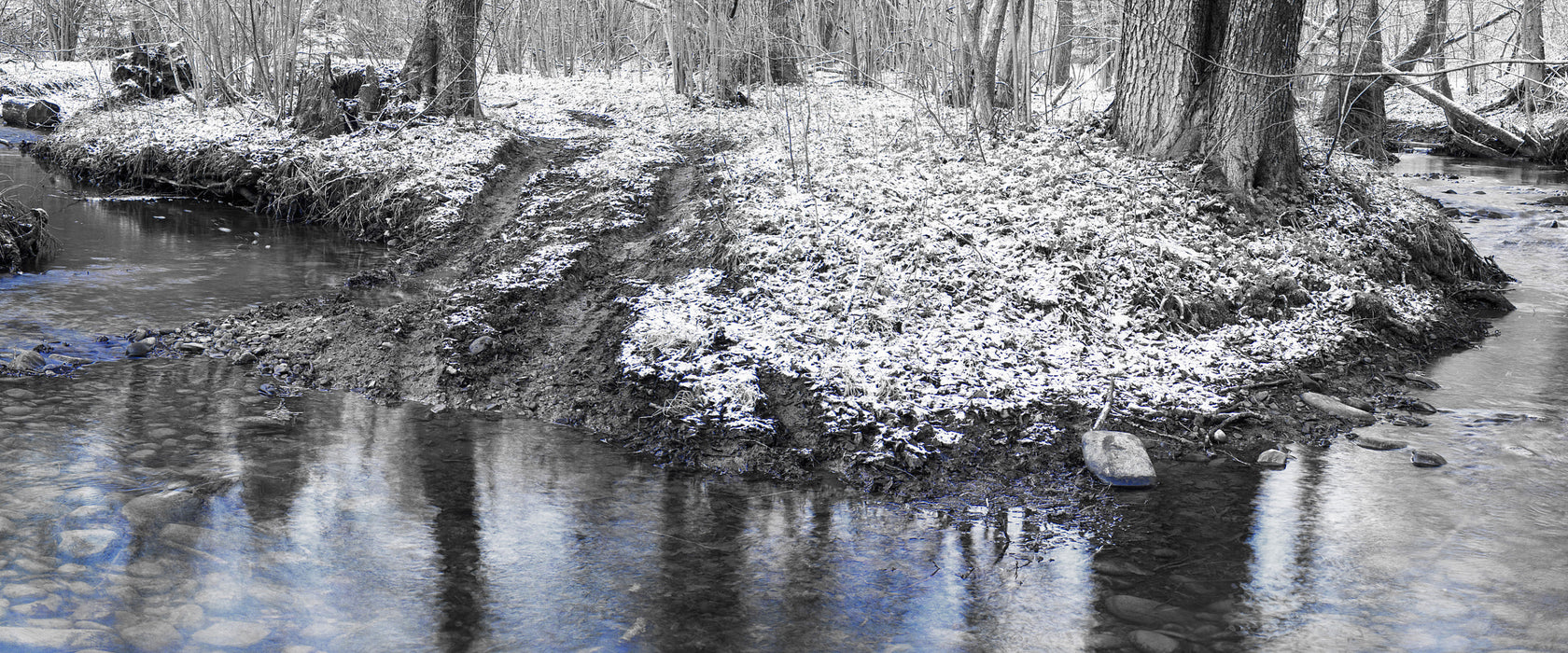 schneebedeckter Waldboden, Glasbild Panorama