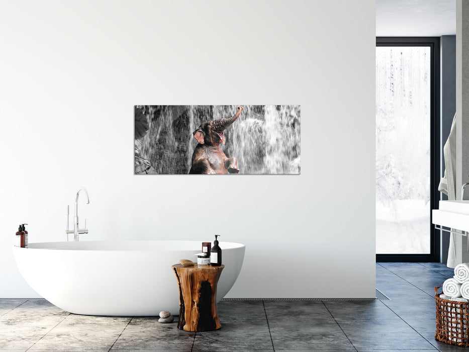 Babyelefant am Wasserfall, Glasbild Panorama