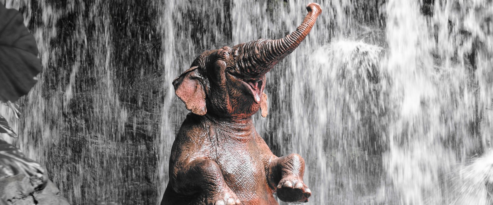 Babyelefant am Wasserfall, Glasbild Panorama