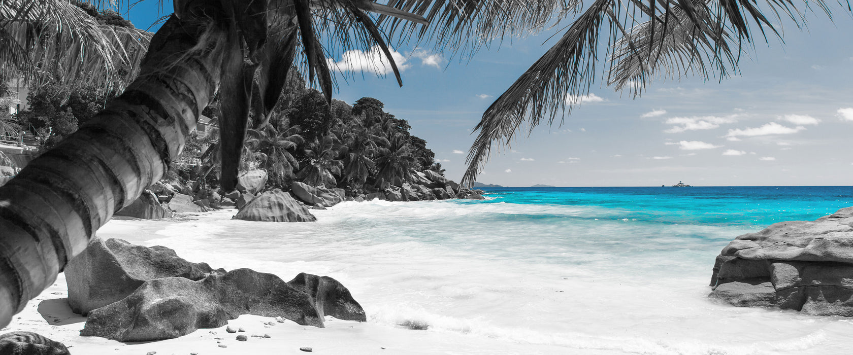 Palmenstrand Seychellen, Glasbild Panorama