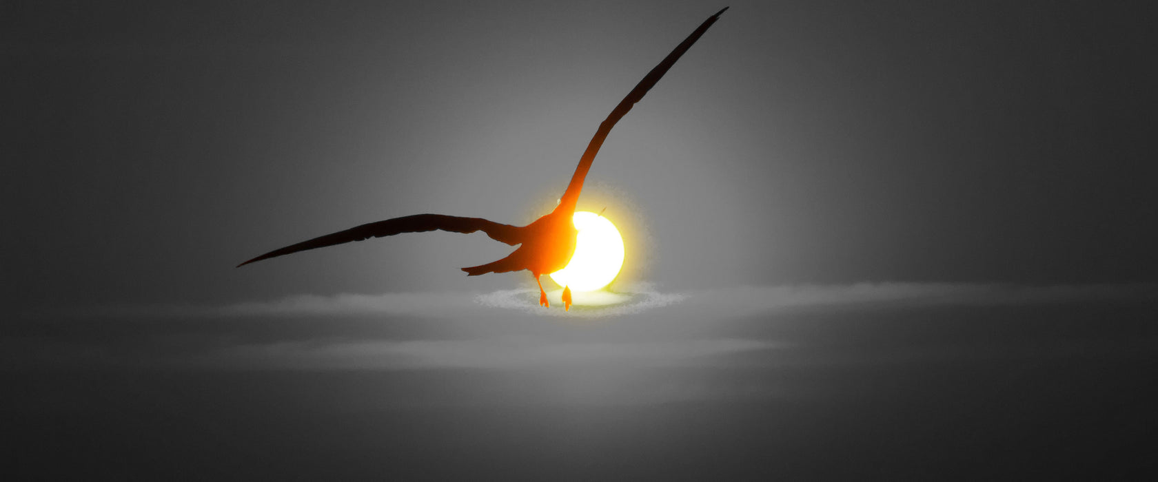 Möwe fliegt in den Sonnenuntergang, Glasbild Panorama