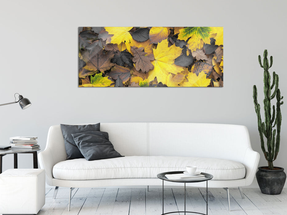 Herbstblätter, Glasbild Panorama