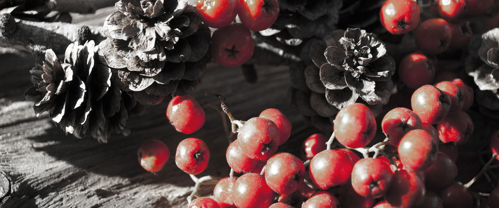 Vogelbeeren und Tannenzapfen, Glasbild Panorama