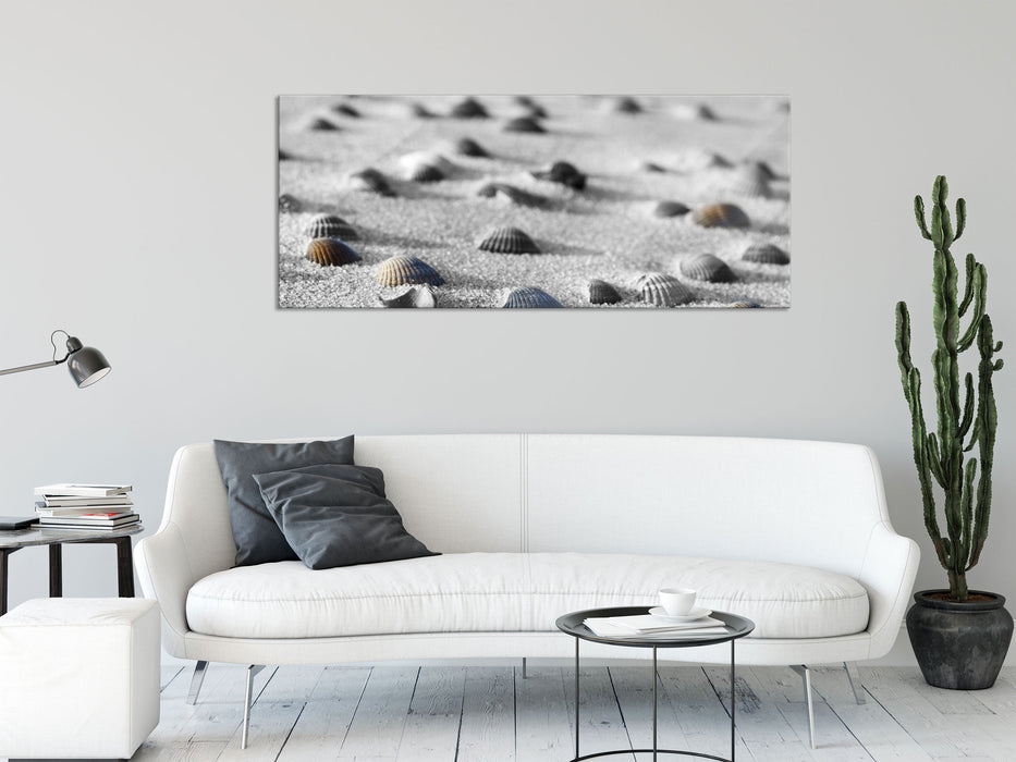 Muscheln im Sand, Glasbild Panorama