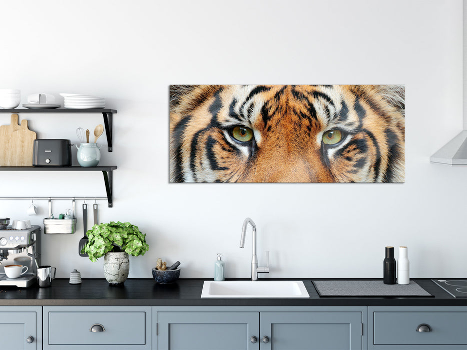 Nahaufnahme Sumatra Tiger, Glasbild Panorama