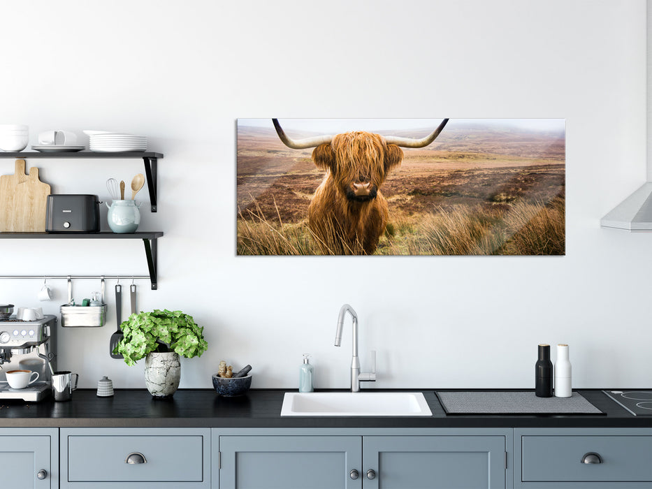 Highland Rind mit großen Hörnern Steppe, Glasbild Panorama