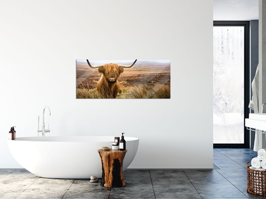 Highland Rind mit großen Hörnern Steppe, Glasbild Panorama