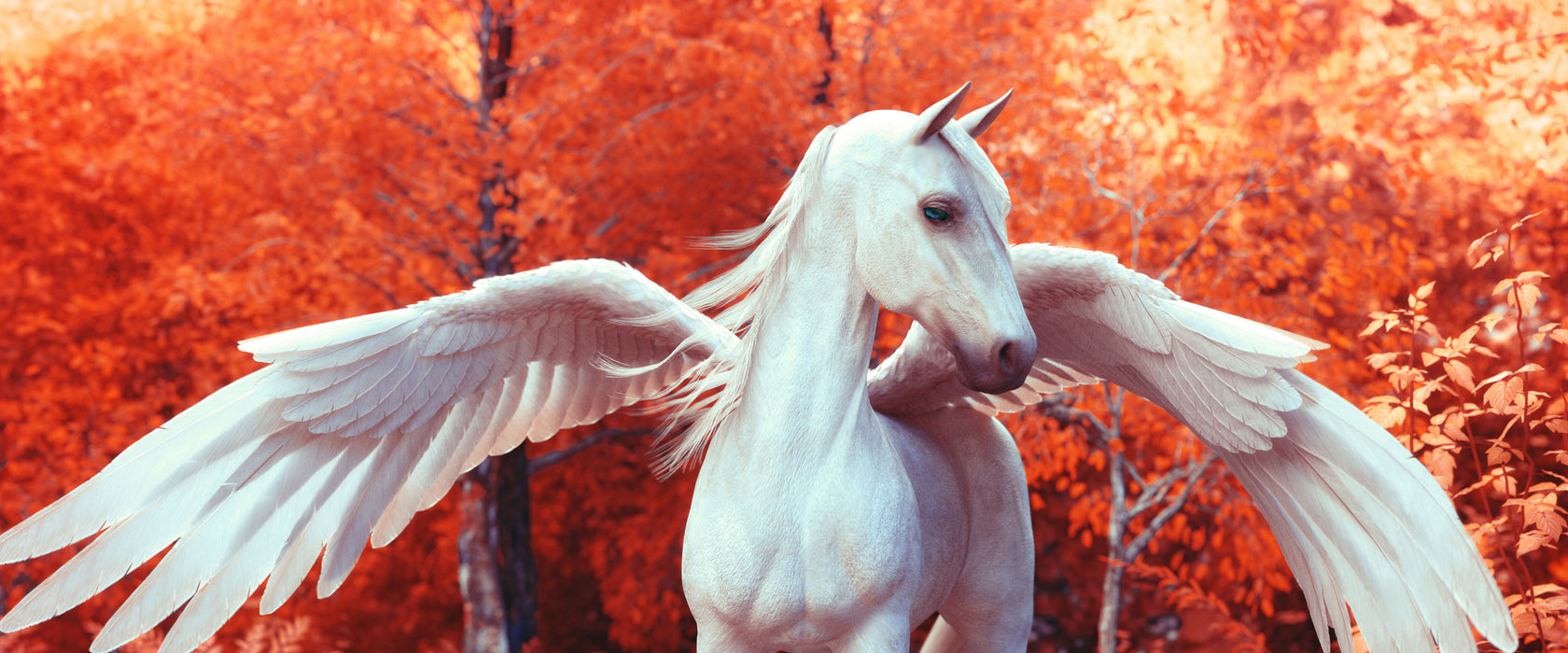 Pegasus im Fluss eines Herbstwaldes, Glasbild Panorama