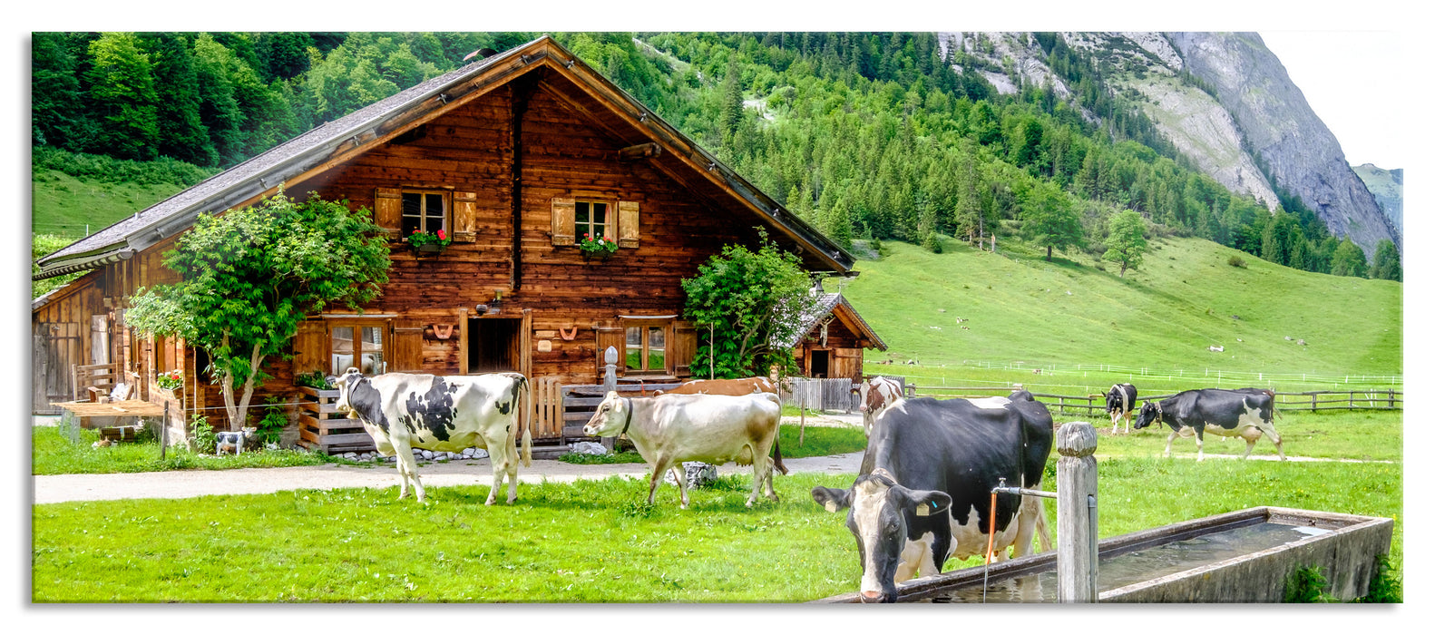 Pixxprint Kühe vor Blochhütte auf Albenweide, Glasbild Panorama