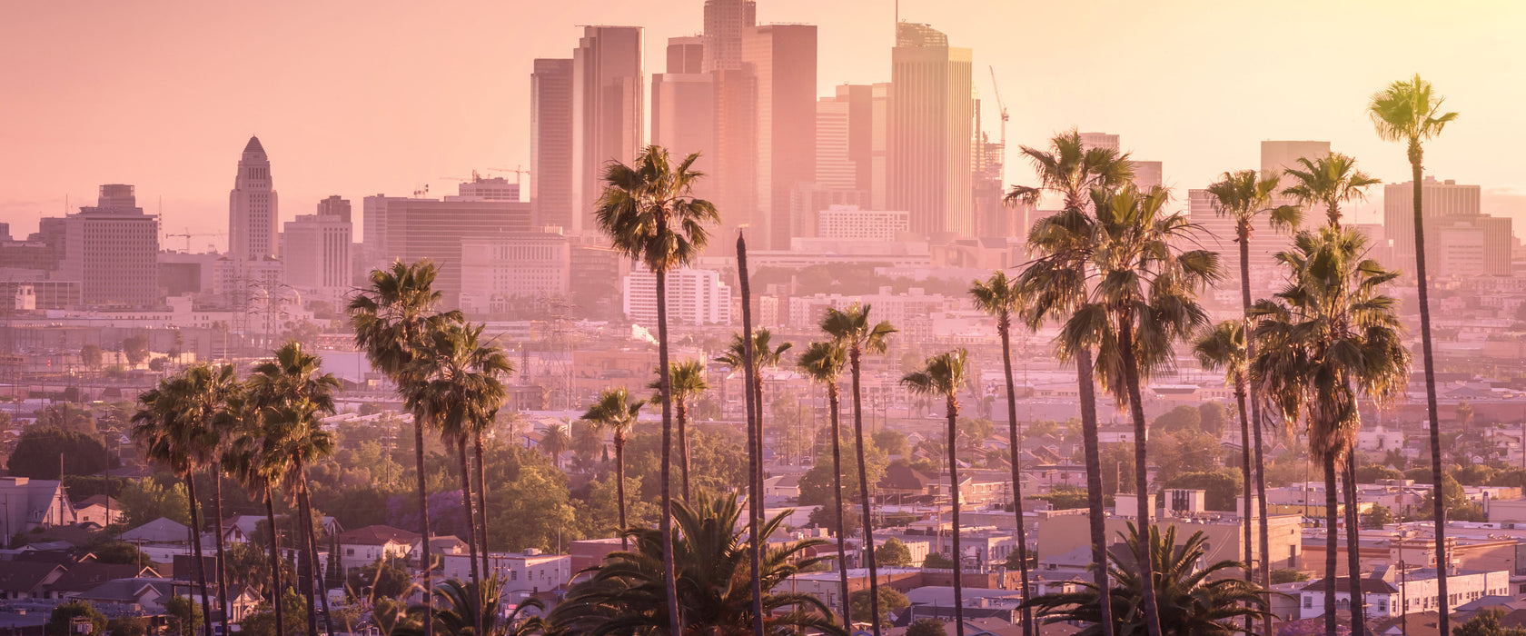 Palmen vor Skyline von Los Angeles, Glasbild Panorama